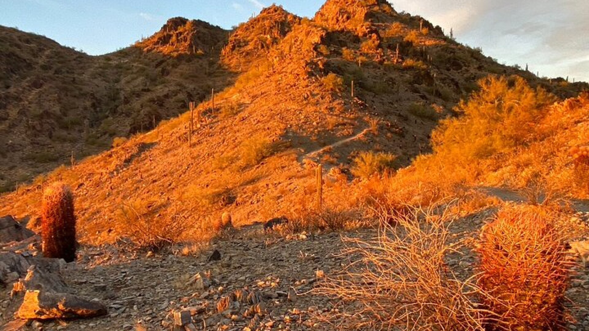 Stunning Sunset or Sunrise Guided Hiking Adventure in Phoenix