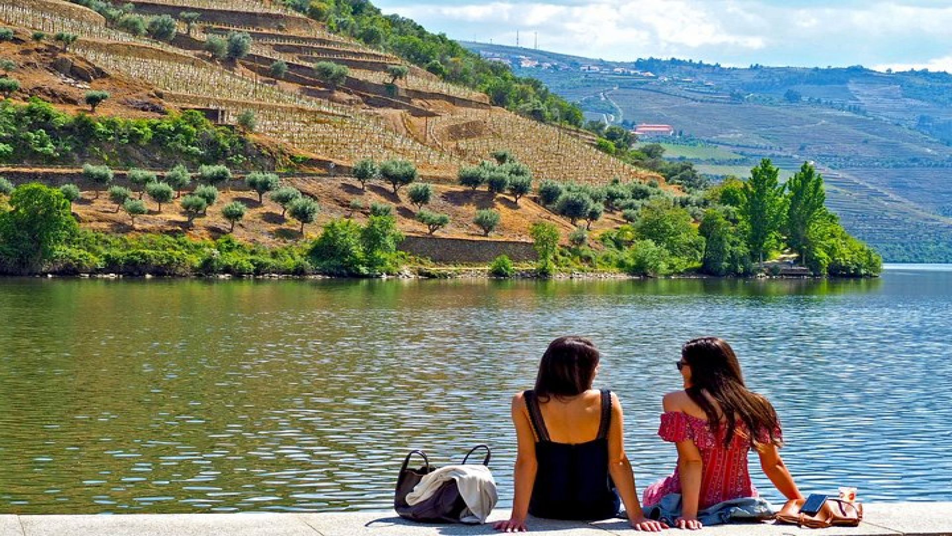 Wine Venture and Boat Trip in Douro Valley from Porto