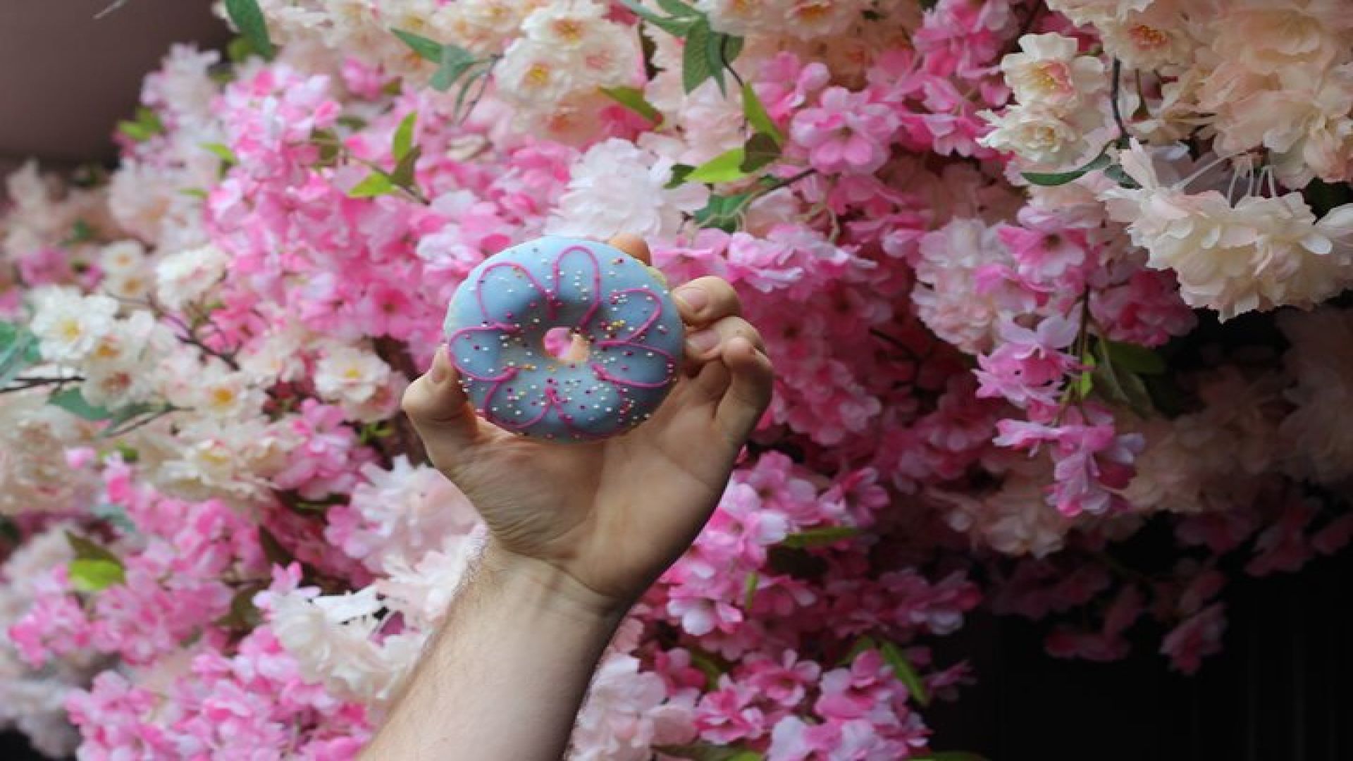 Handcrafted Donuts & Tea: Brighton\'s Artisan Sweet Treat Tour