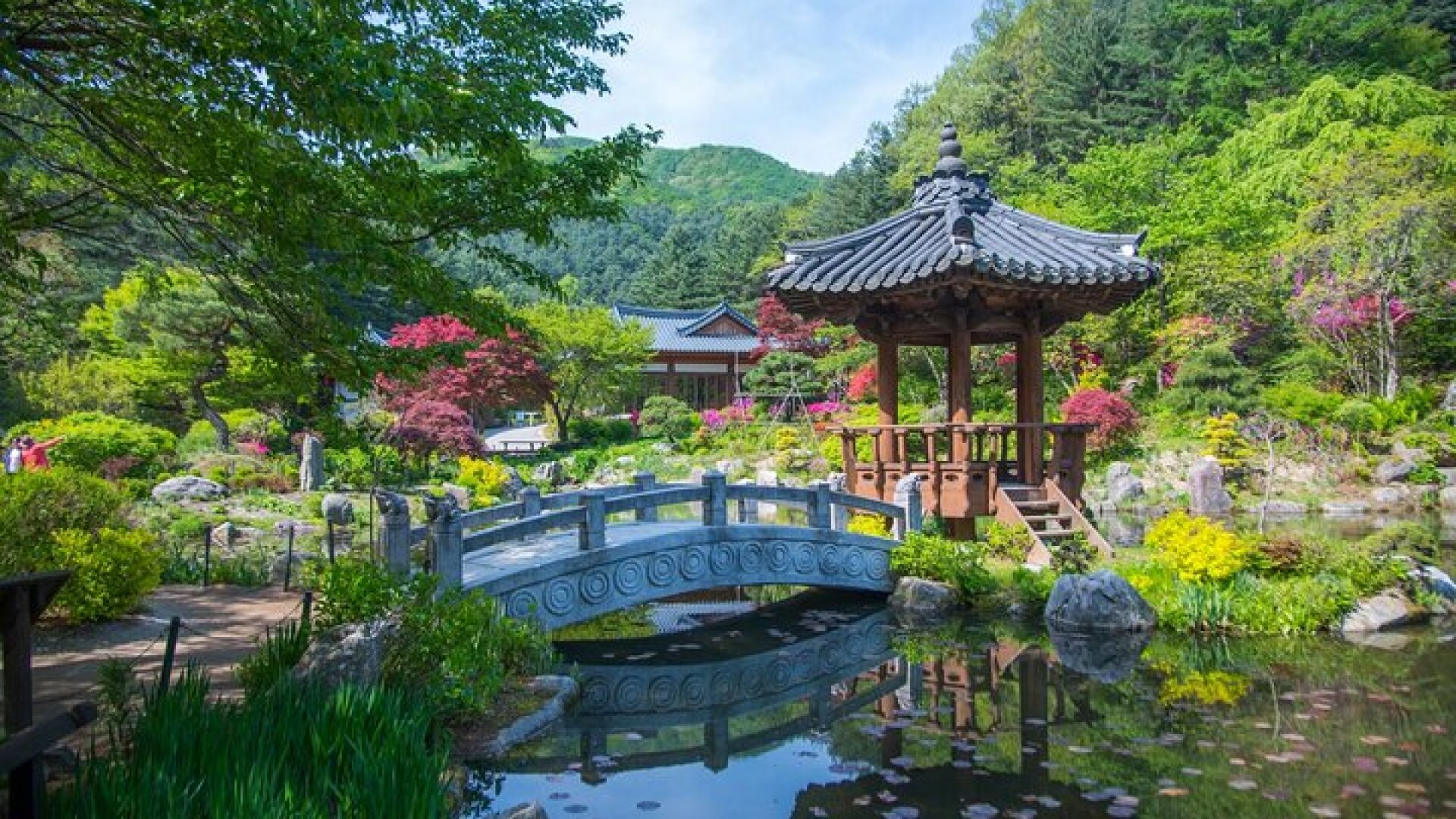 Trip to Nami Island with Petite France & Italian Village, Garden of Morning Calm