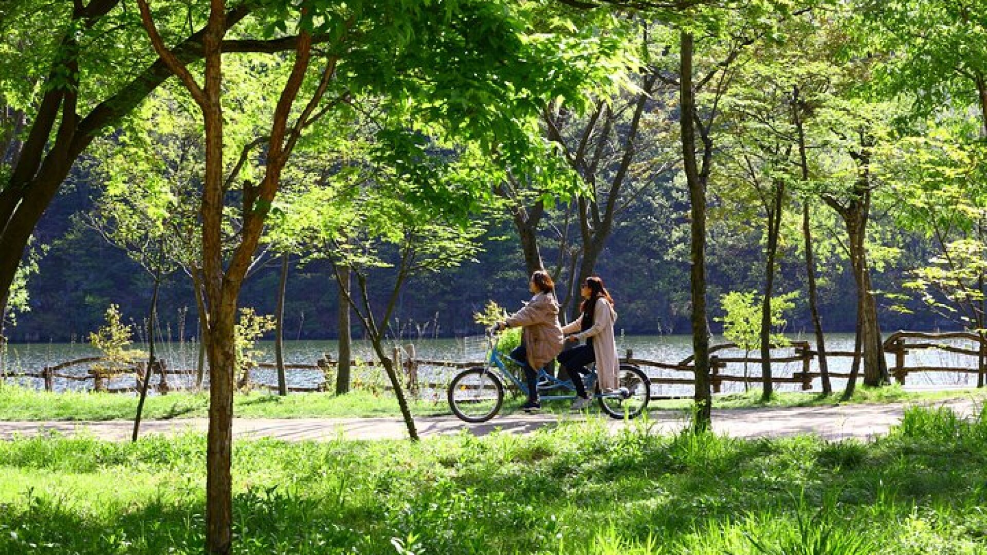 Trip to Nami Island with Petite France & Italian Village, Garden of Morning Calm