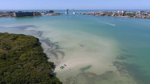 Glass Bottom Kayak Mangrove & Sandbar Adventure in St. Pete Beach