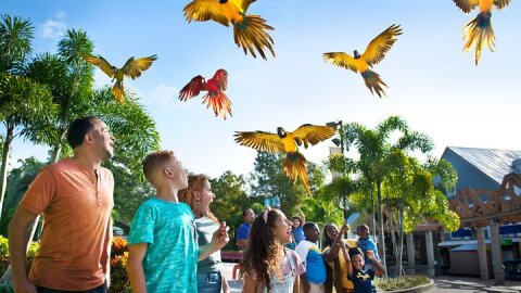 ZooTampa at Lowry Park Admission Ticket