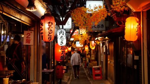 The Dark Side of Tokyo - Night Walking Tour Shinjuku Kabukicho