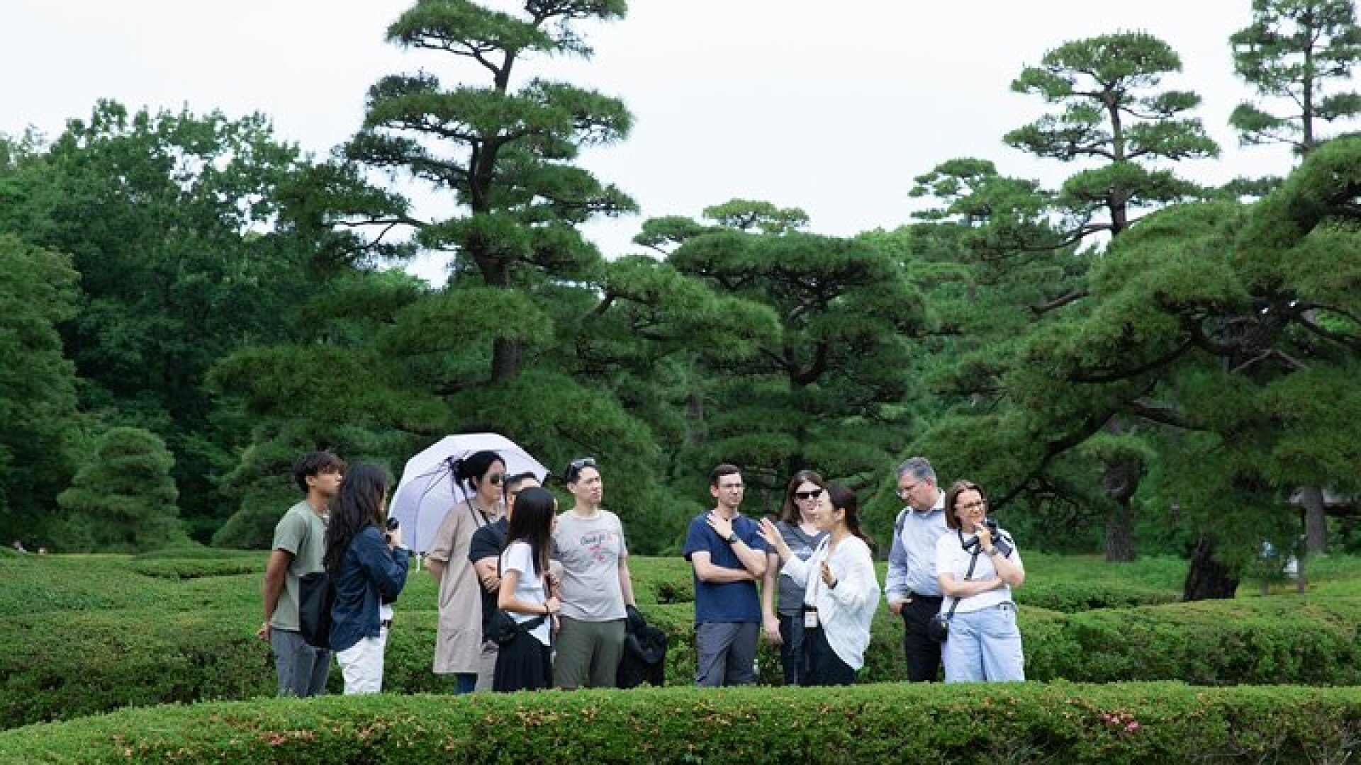 Imperial Palace East Garden and Edo Castle Walking Tour in Tokyo
