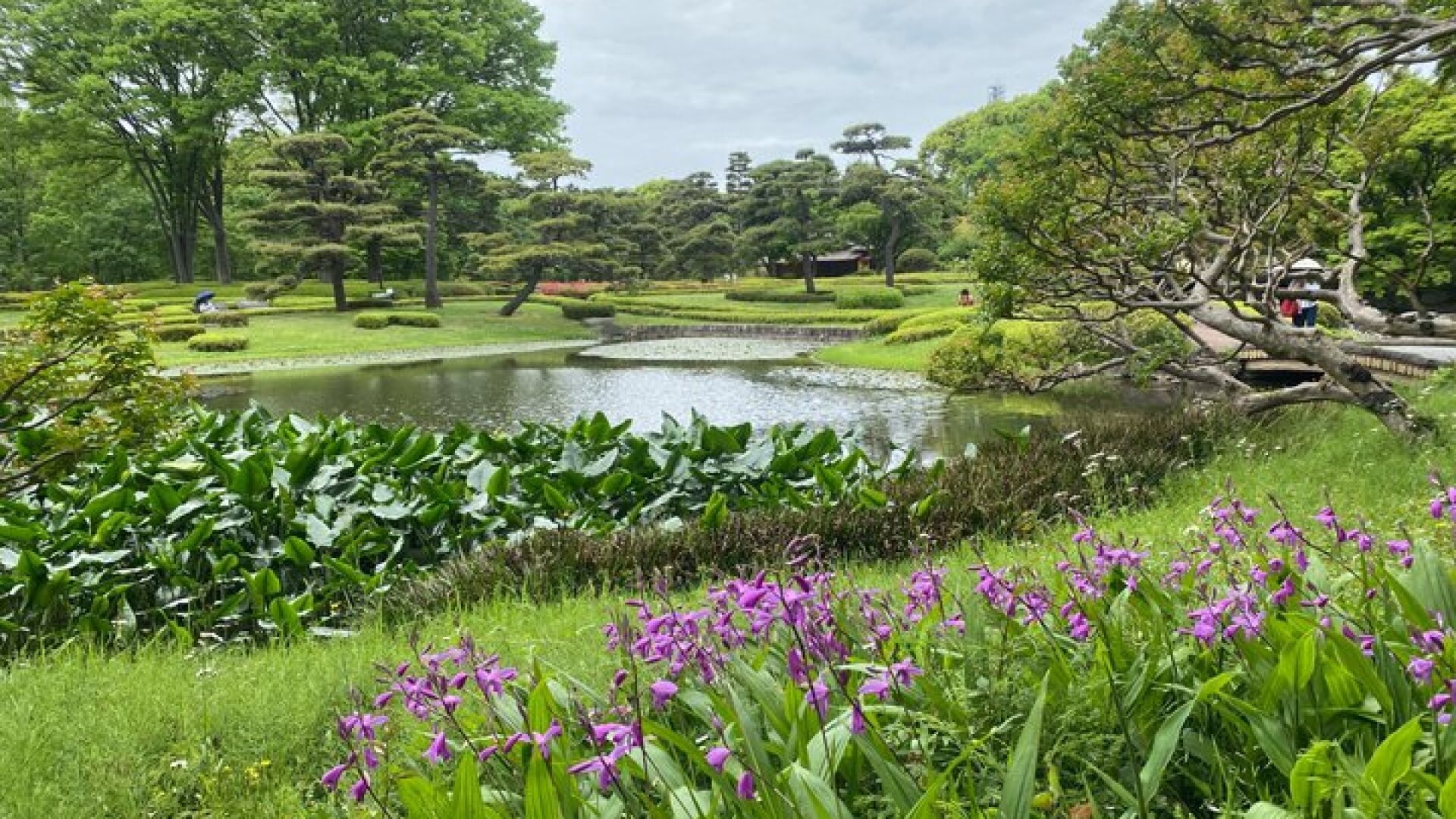 Imperial Palace East Garden and Edo Castle Walking Tour in Tokyo
