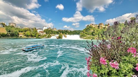 Morning group tour to Rhine falls 
