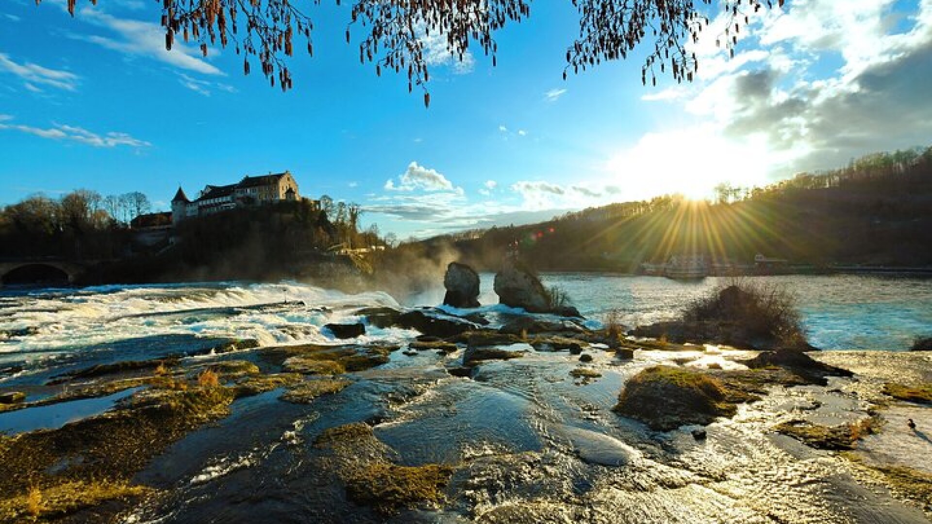 Morning group tour to Rhine falls 