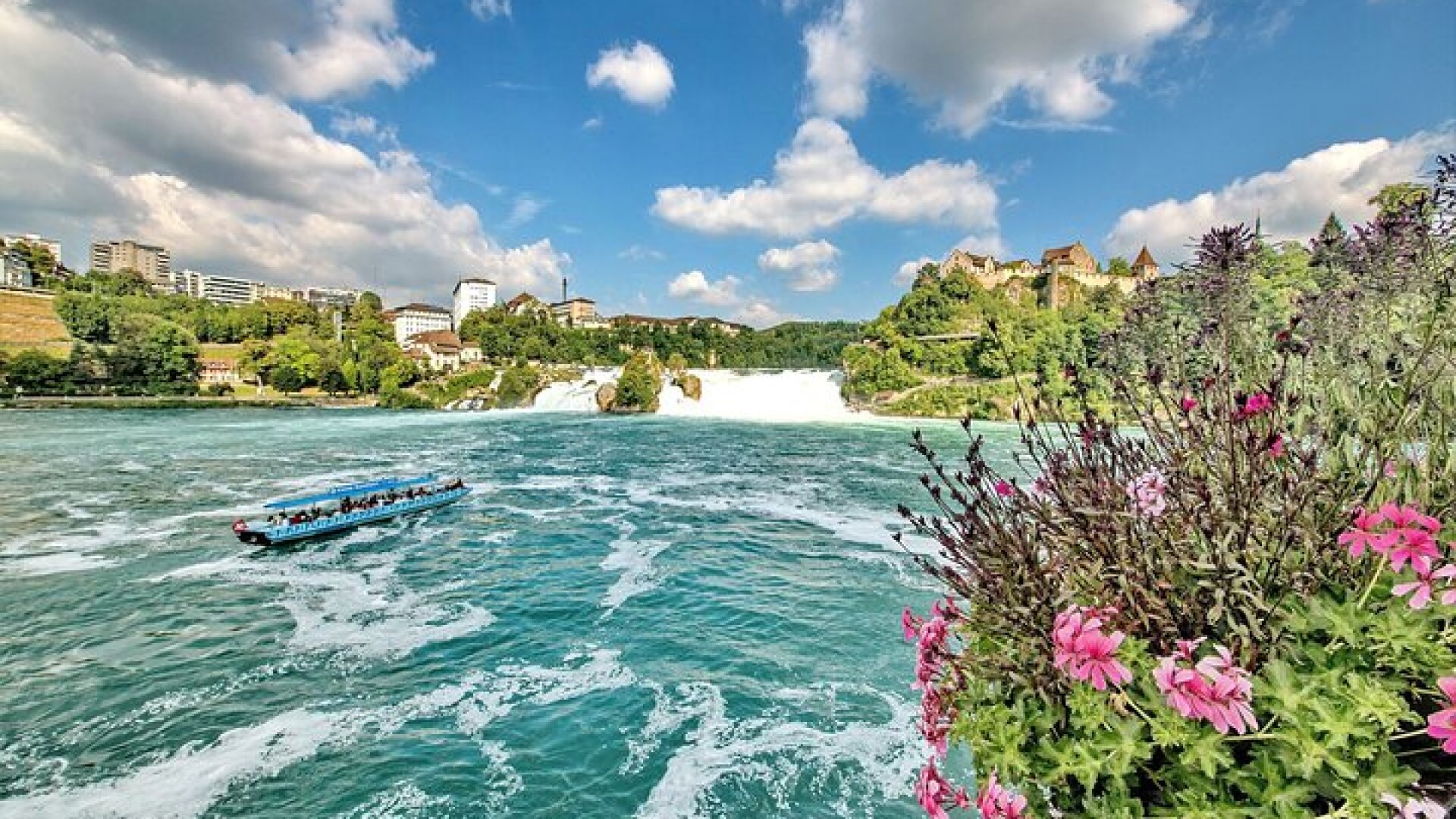 Morning group tour to Rhine falls 