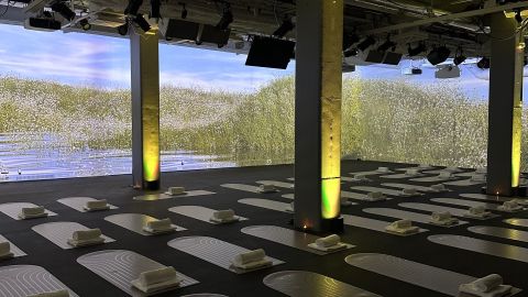 Breathwork med hale  – Recovery - SLUTSÅLD