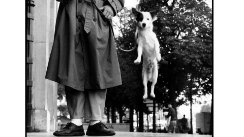 Medlemsbiljett 12 Feb | Vernissage – Elliot Erwitt