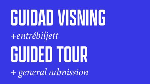 Guided Tour + General Admission