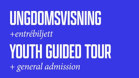 Youth guided tour; Are men ok?