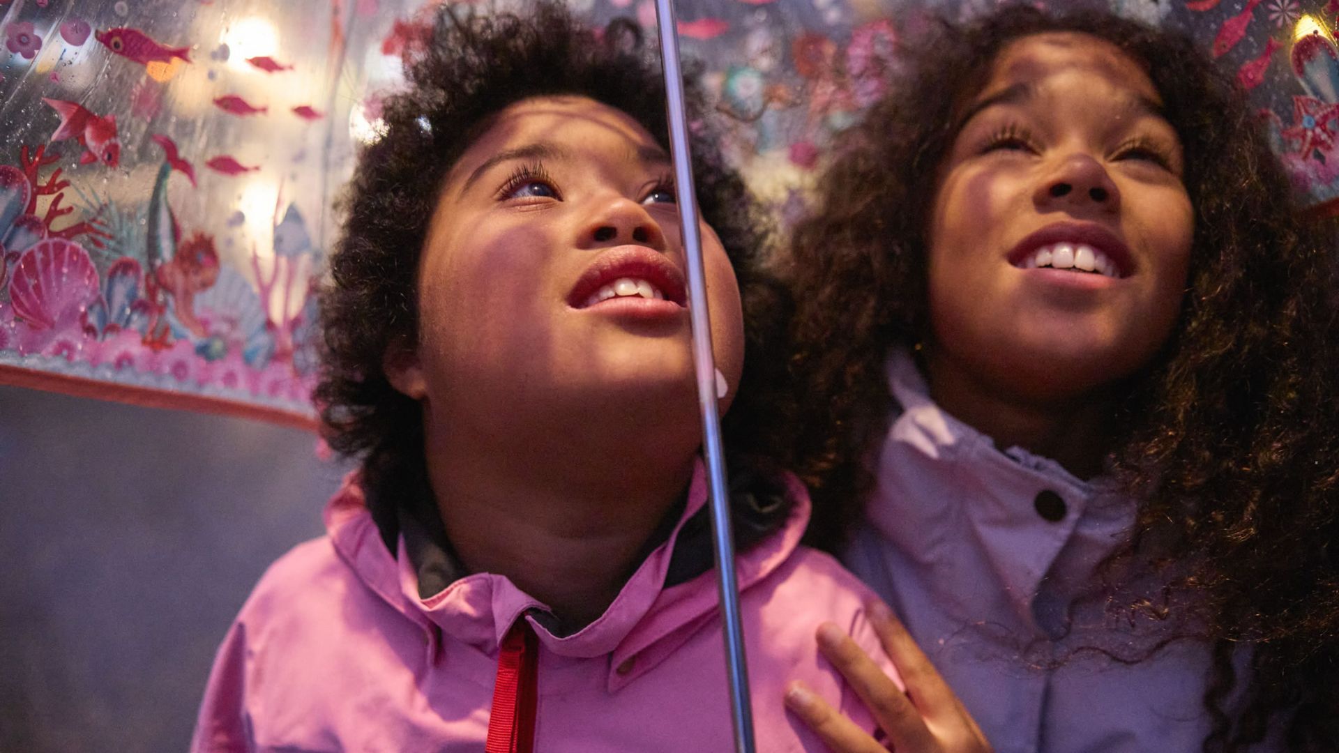 Members ticket 29 April | Book launch: Emilia Bergmark-Jiménez, Swedish Down Syndrome Association