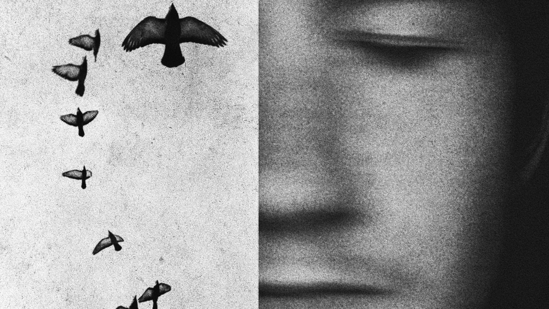 16 August | Artist Talk: Joakim Möller