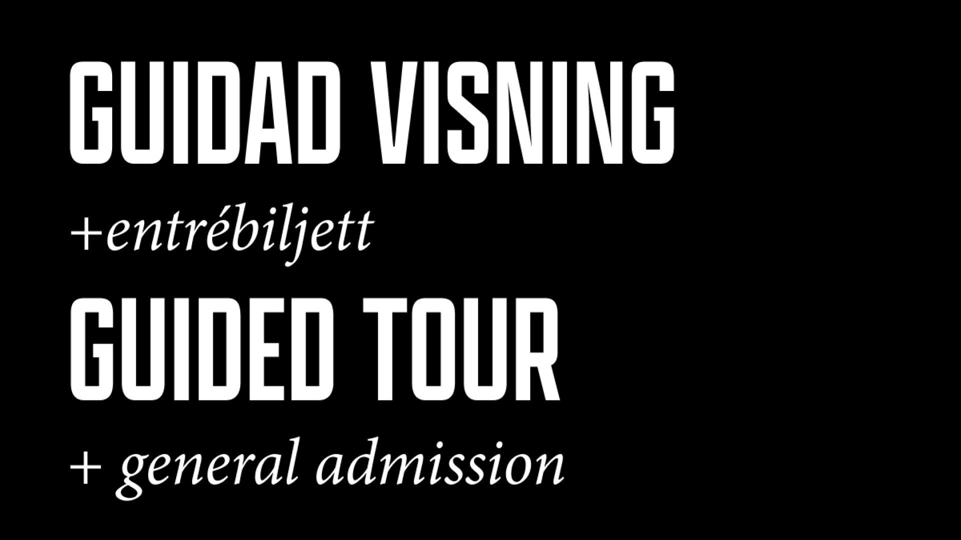 Guided Tour + General Admission