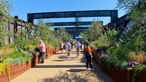 Trees, flowers and Manchester city centre green spaces tour
