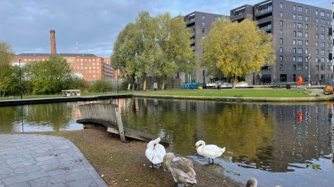 Secrets of Ancoats and New Islington