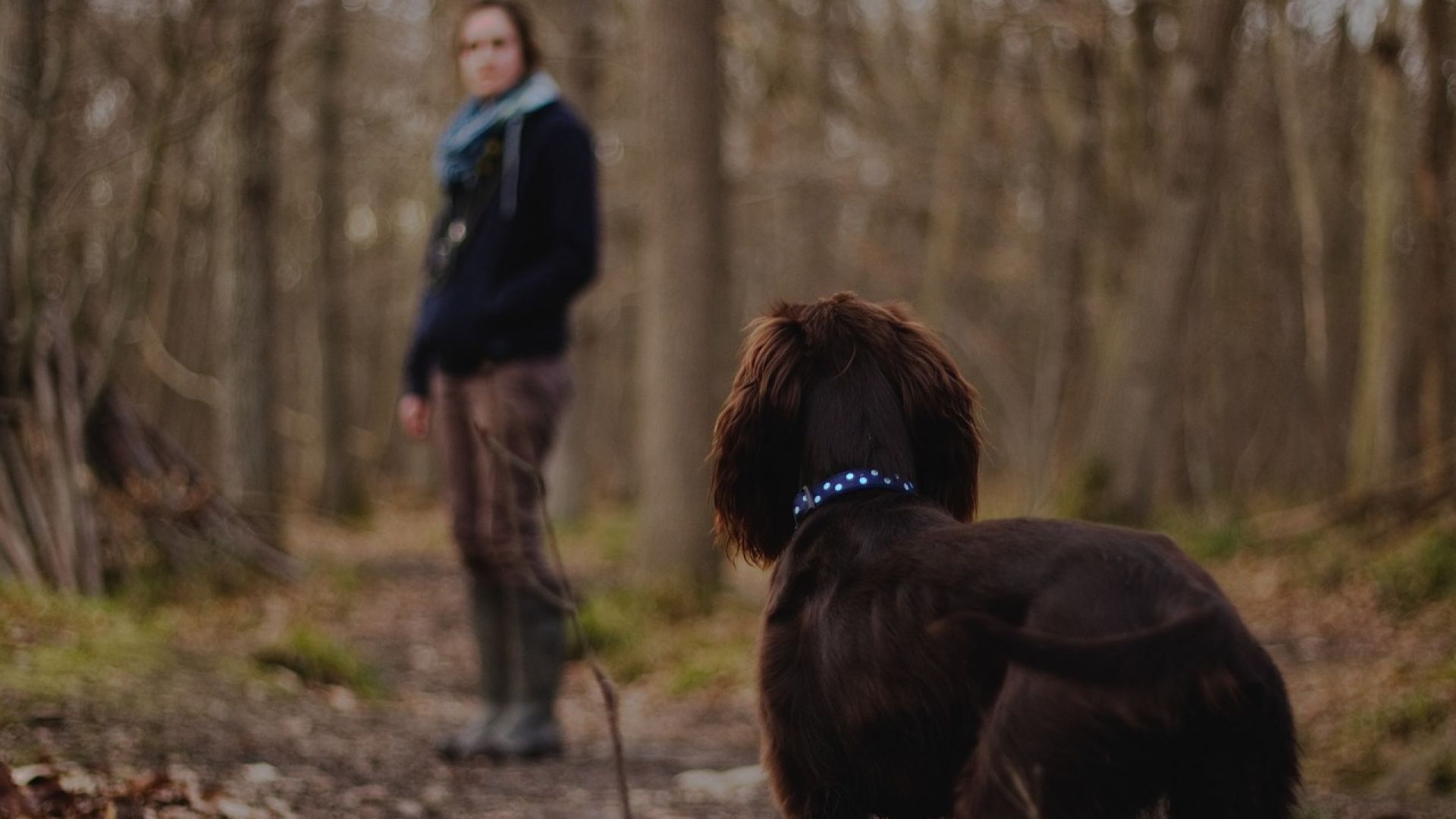 Tuscany Truffle Hunt: A Culinary Adventure