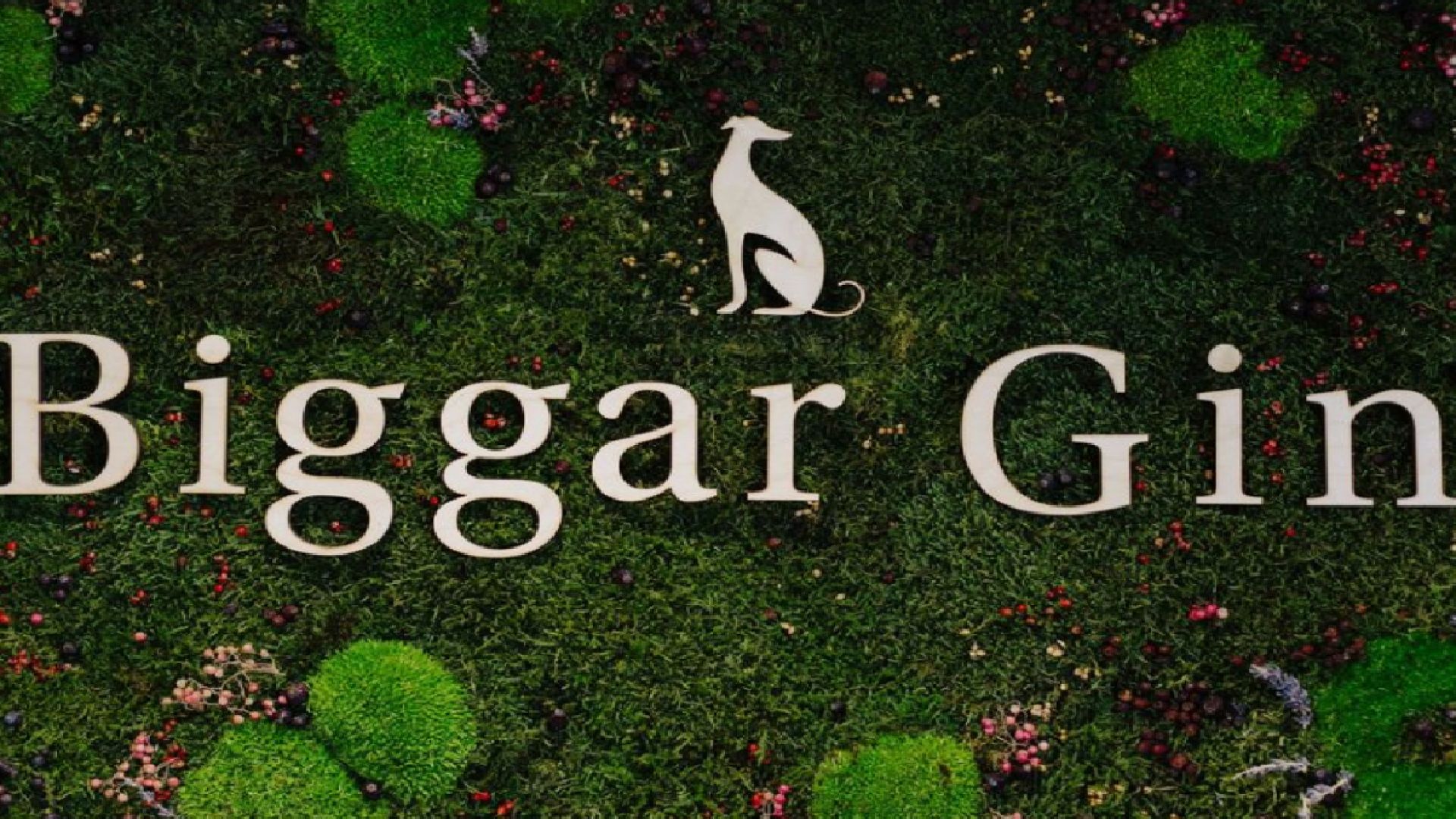 The Biggar Spirits Stillhouse Distillery Tour