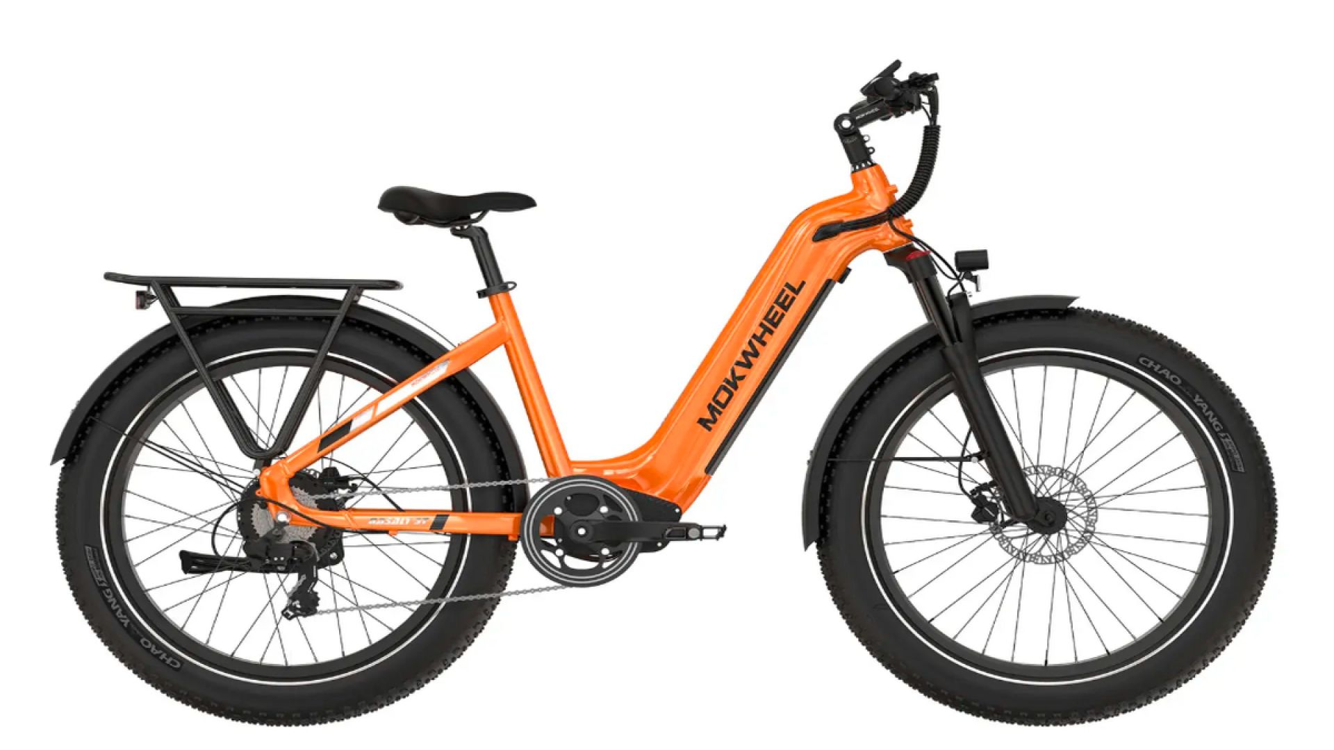 Basalt ST eBike Hourly Rentals