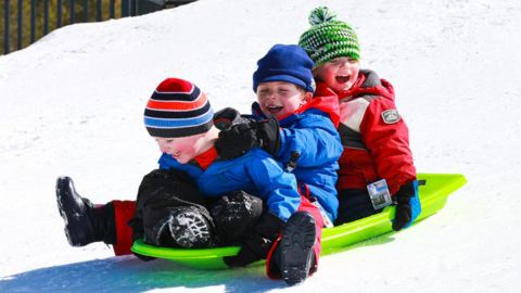Sled Rental