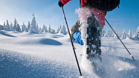 Snowshoe Rental