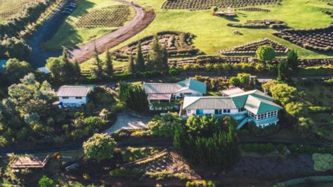 General Admission to Ali'i Kula Lavendar Farm