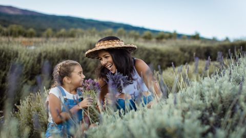 General Admission to Ali'i Kula Lavender Farm