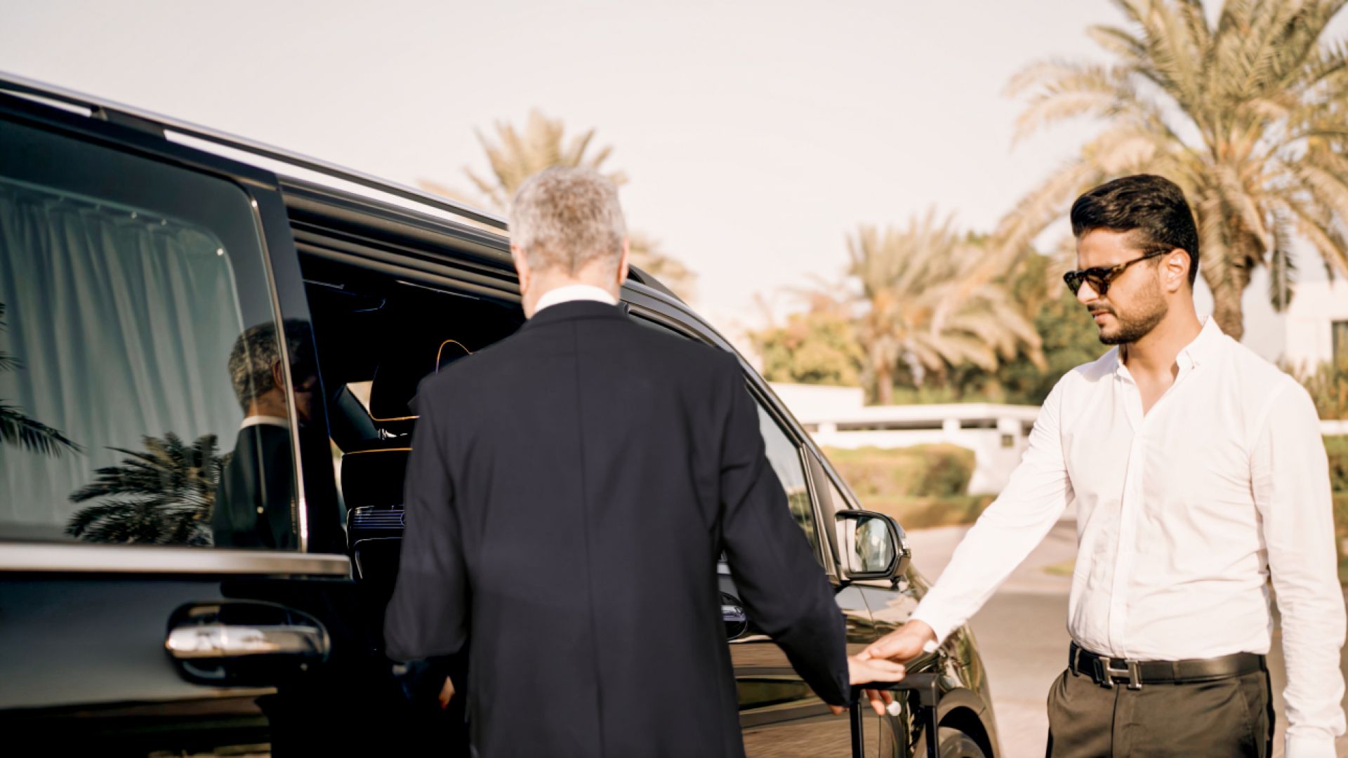 Luxury City Tour with Private Chauffeur