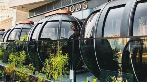 The Pods 4-Course Set Menu