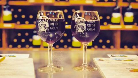 Wine Tasting at Winery On The Gruene