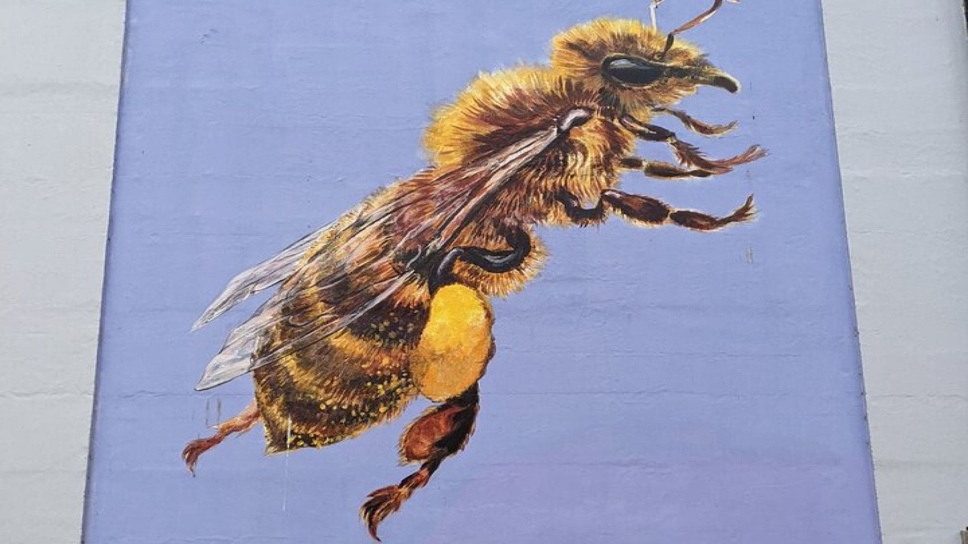 Interactive Treasure Hunt of Bristol\'s Secrets