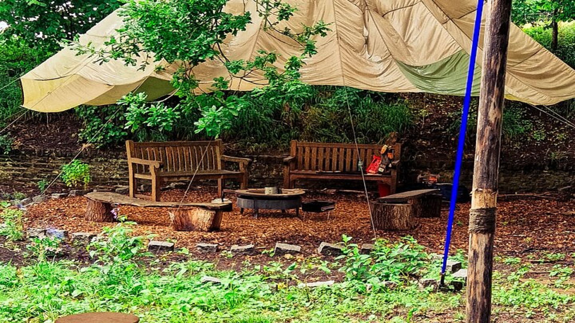 Yoga & Forest Bathing Day Retreat