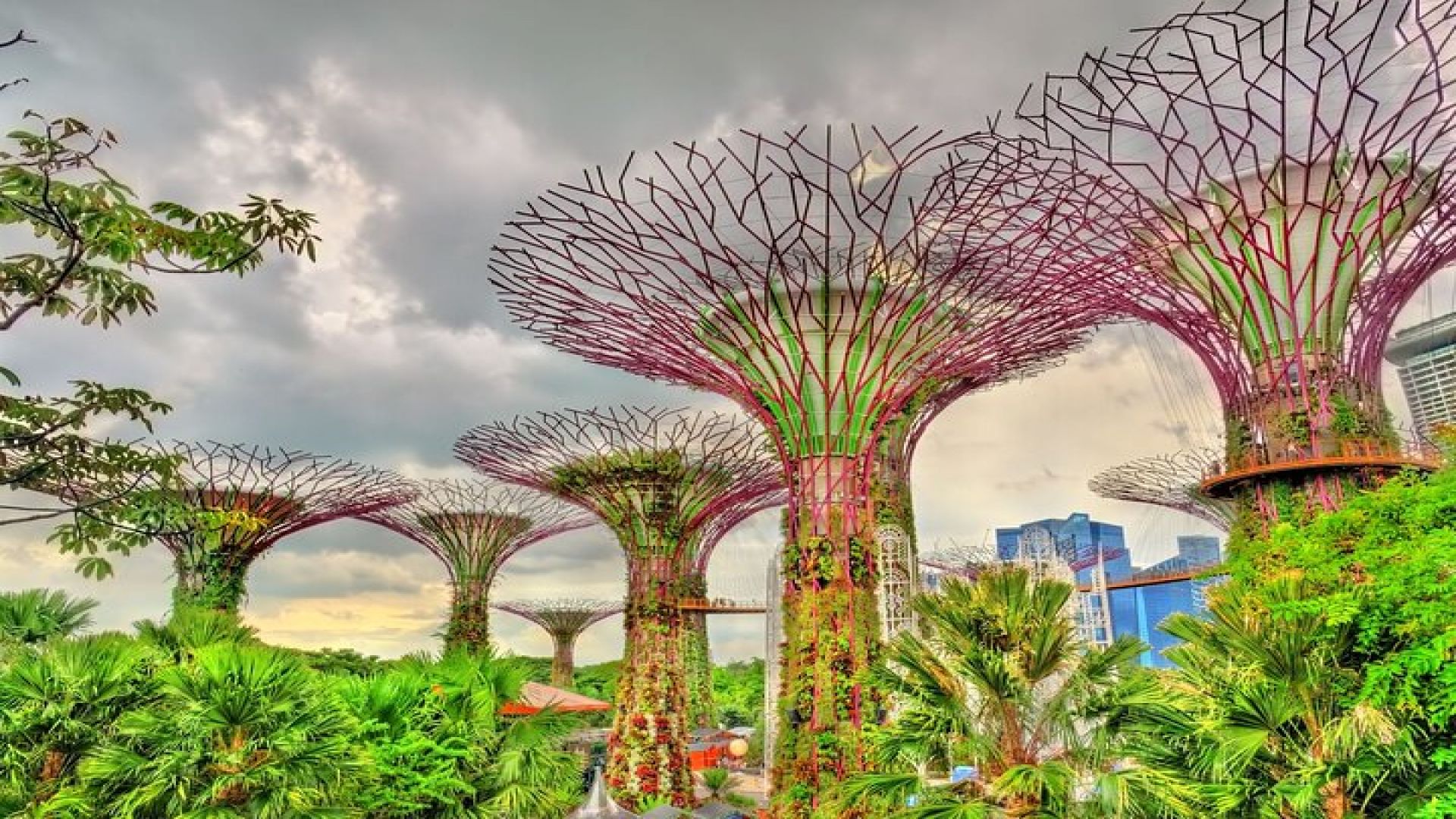 Singapore Highlights Private Bike Tour With A licensed Guide