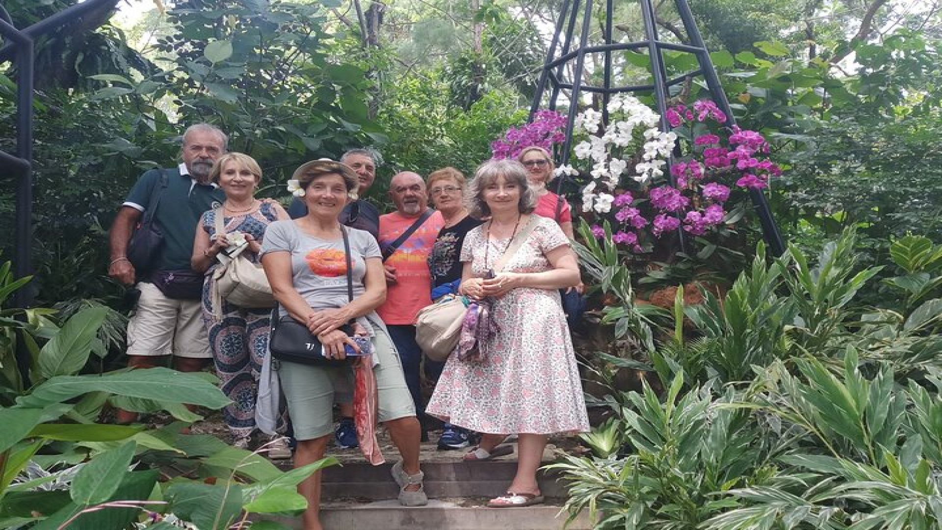 Singapore : Highlights and Hidden Gems Walking Tour With A Guide