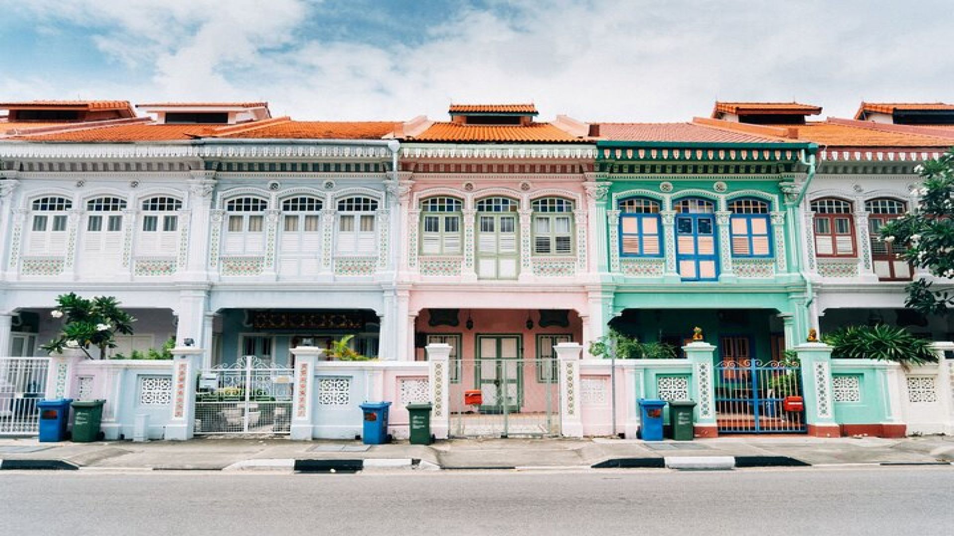 Singapore Private Street Art Walking Tour With A Licensed Guide 