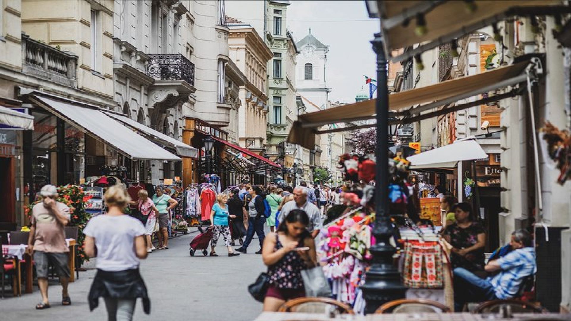 Full-Day Trip from Budapest to Vienna with Private Expert Guide - Includes Lunch