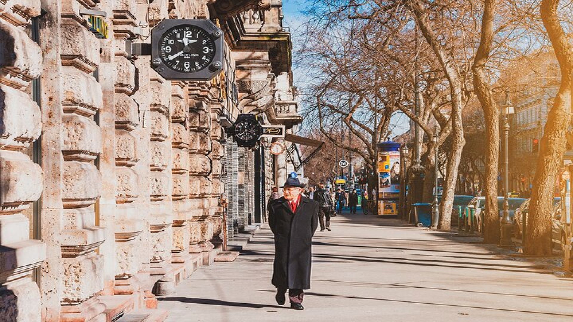 Budapest Must-Sees Private Tour with Professional Local Guide
