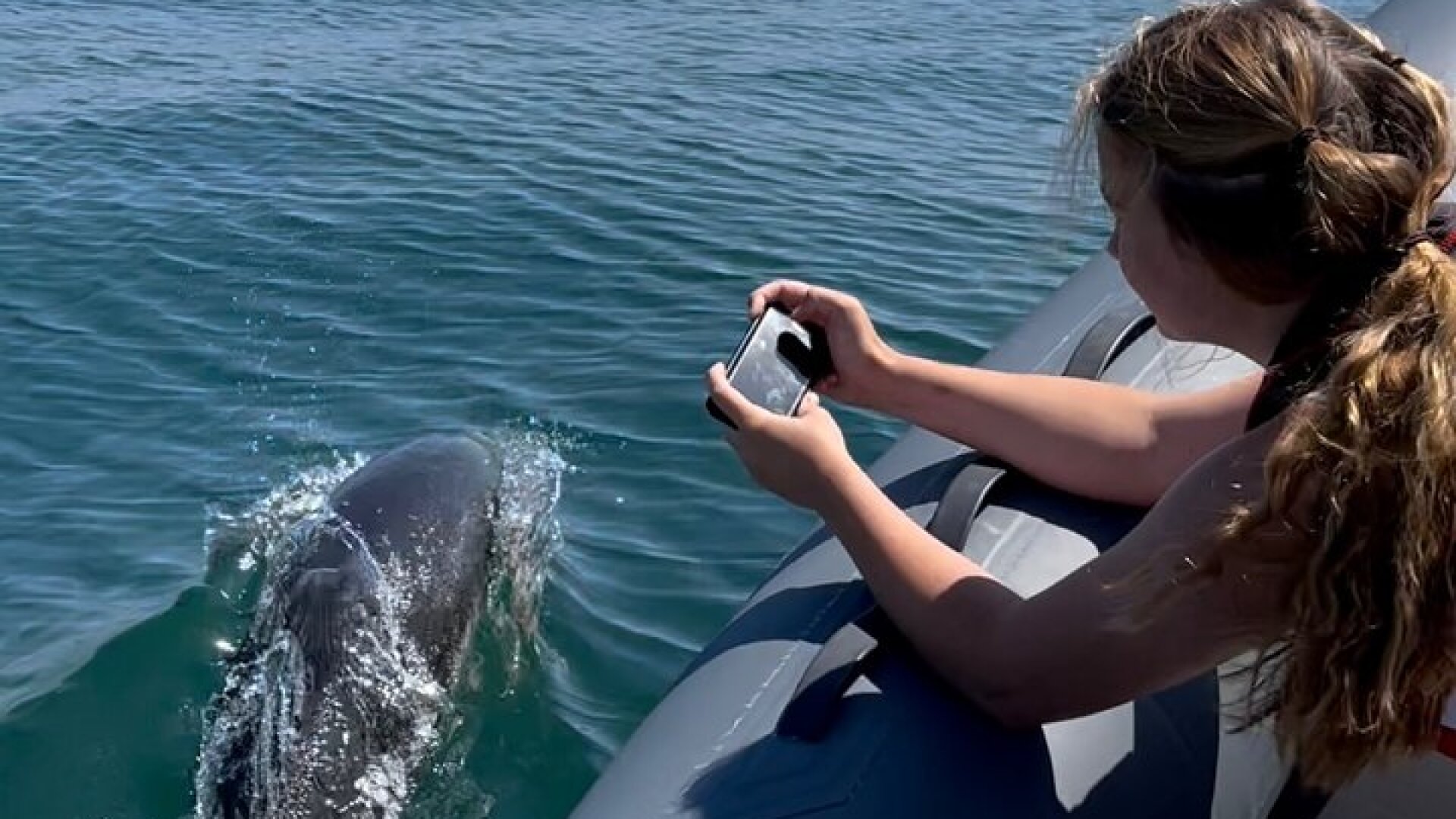 Private Coastal Boat Tour in Torquay