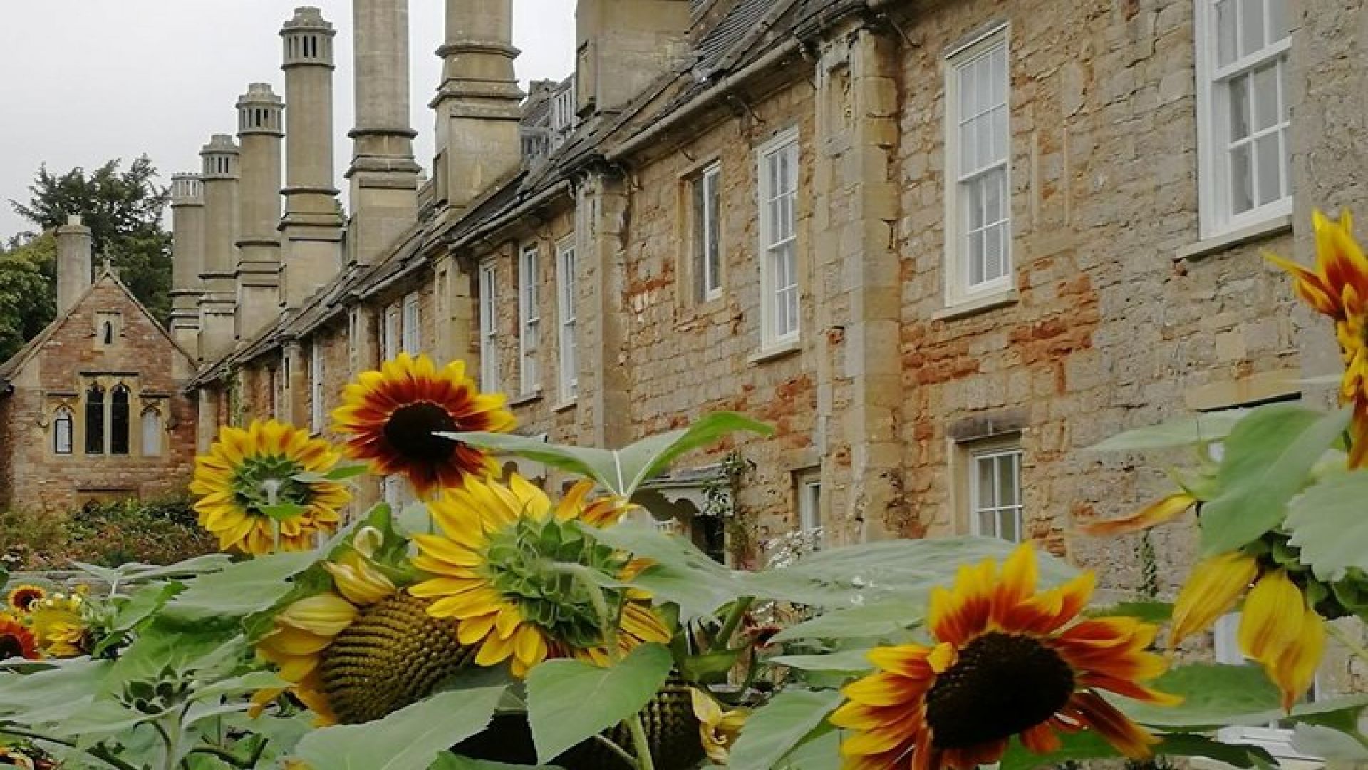 Wells, Cheddar Cheese and Cheddar Gorge - Private Day Trip from Bath