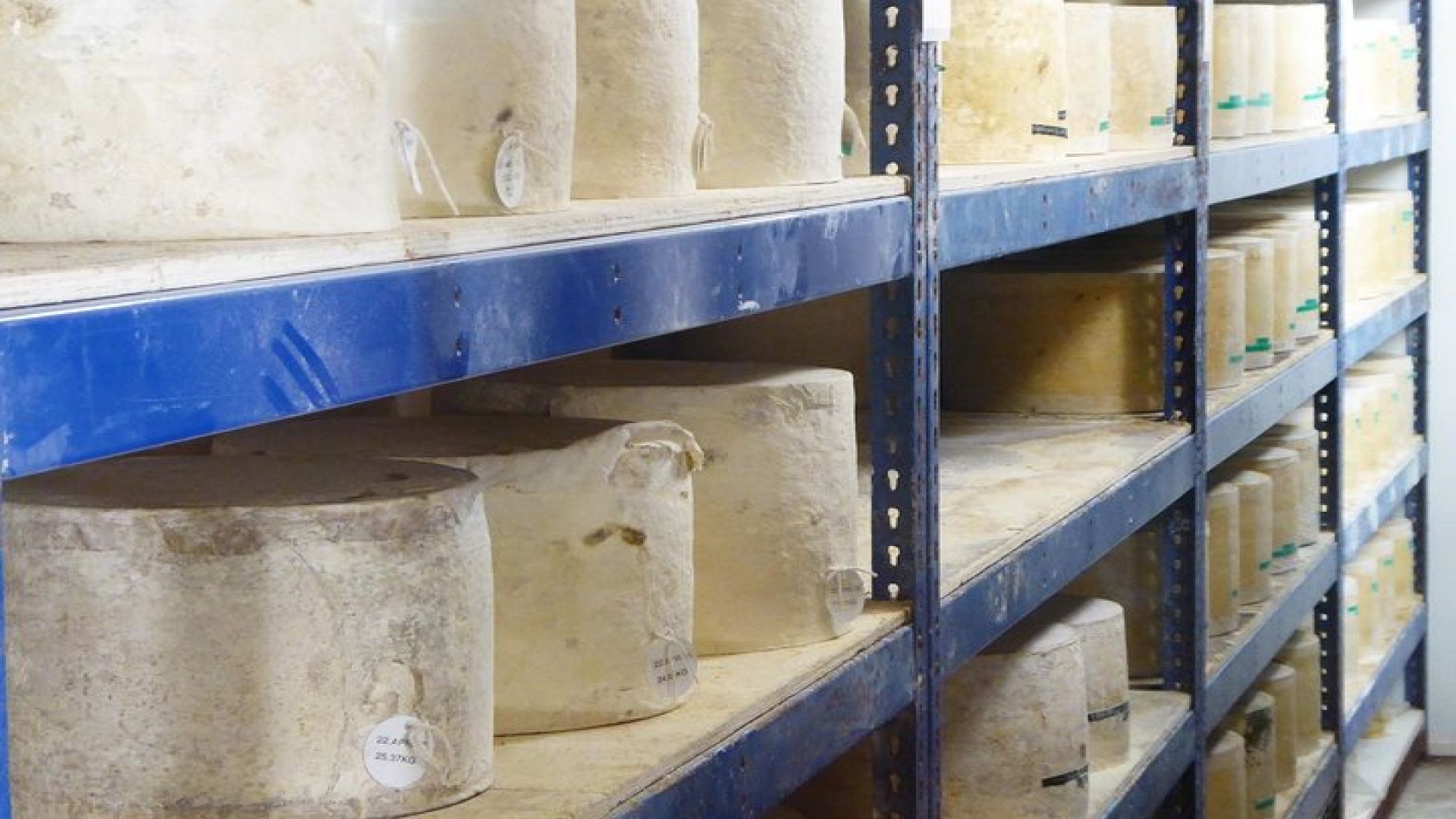 Wells, Cheddar Cheese and Cheddar Gorge - Private Day Trip from Bristol