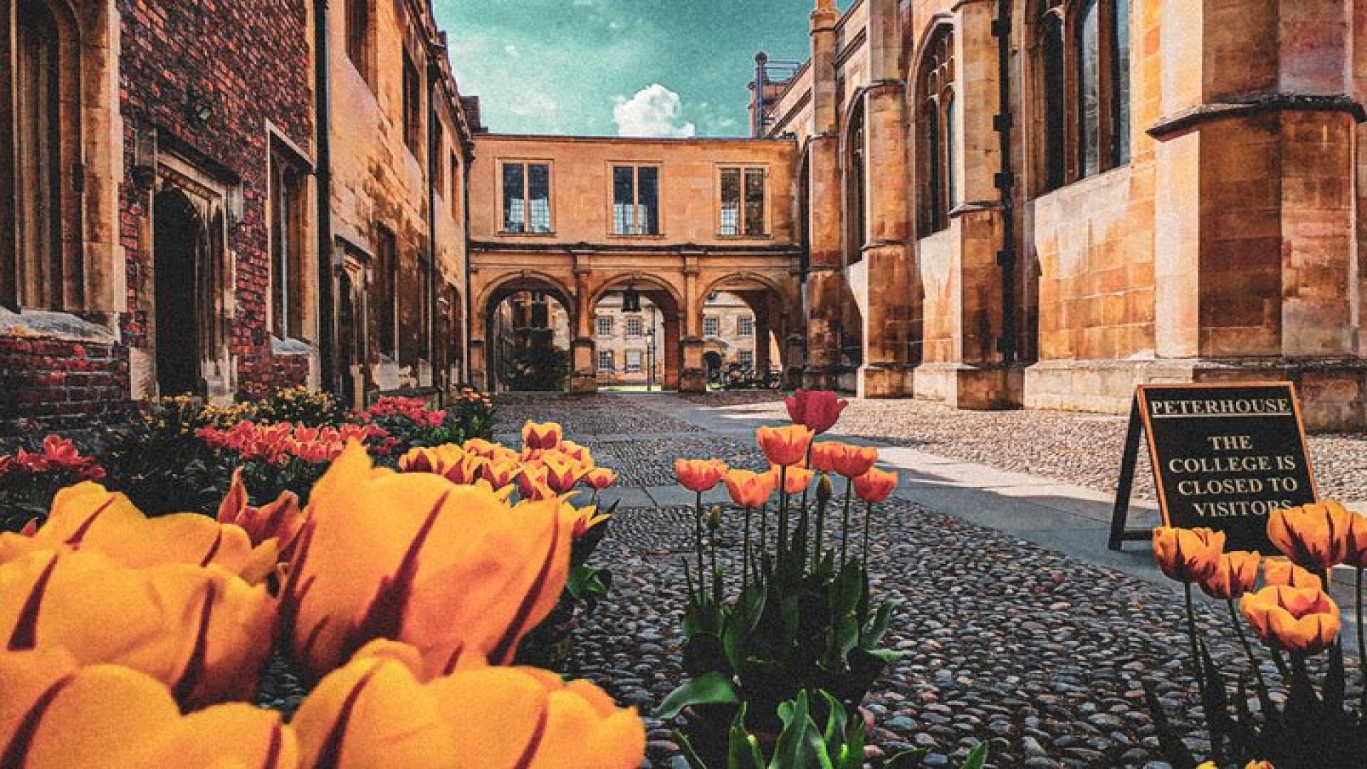 Cambridge Instagram Self-Guided Tour - Top Photo Spots