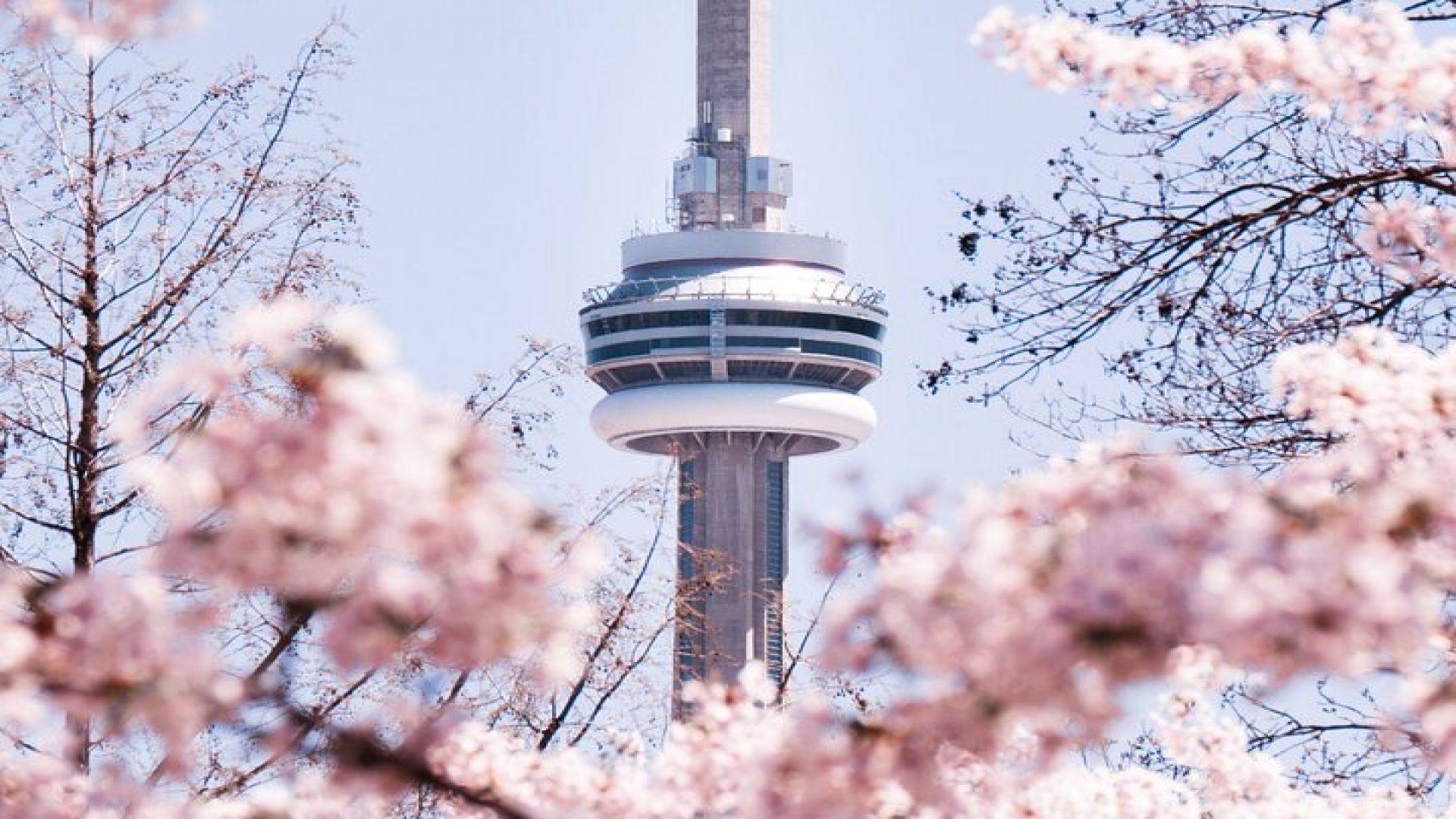 Best of Toronto City Tour with Boat Cruise & CN Tower