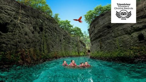Xcaret Park Entry Tickets with Cultural Night Show Included