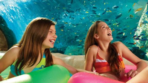 3 visits SeaWorld, Aquatica & Busch Gardens plus dine