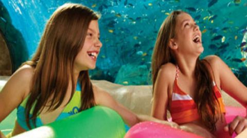 2 visits SeaWorld & Busch Gardens plus dine M