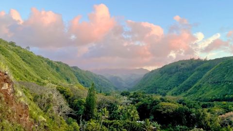 West Side Maui Tour