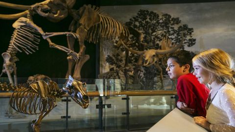 General Admission to the Natural History Museum of Utah