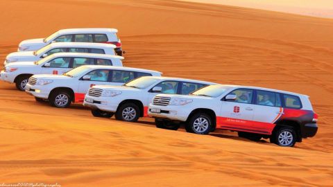 Dubai Morning Desert Safari with Sandboarding, Camel Ride and More